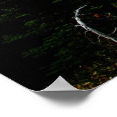 Poster L'été au Mont Rainier (Coin)