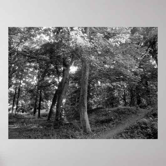 Poster L'été dans le bois (Devant)