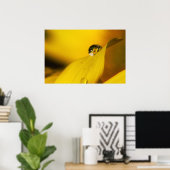 Poster L'été dans une goutte II. (Bureau à domicile)