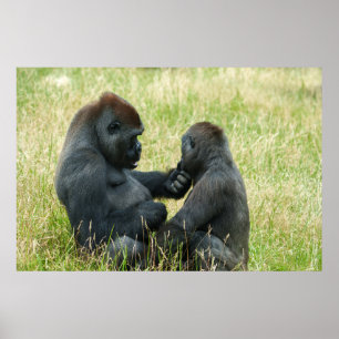 Poster L'éternel frère Gorilla