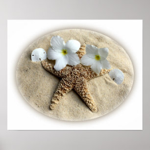 Poster L'étoile de mer écosse le Plumeria sur le sable