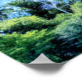 Poster L'étoile Roanoke (Coin)