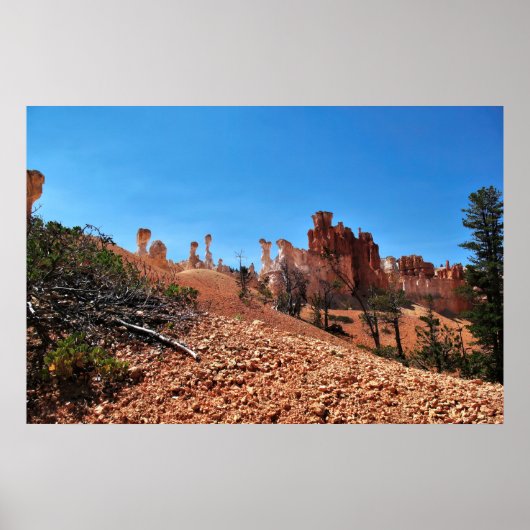 Poster L'étrangeté du canyon de Bryce (Devant)