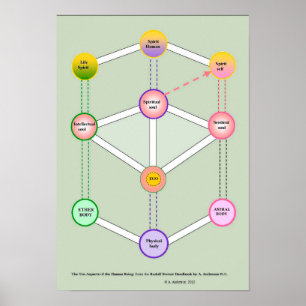 Poster L'être humain de dix fois