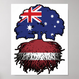 Poster Lettonie Australienne Lettonie Racines d'arbres