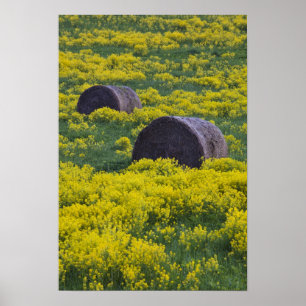 Poster Lettonie, Lettonie du Nord-Est, Région de Vidzeme,