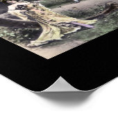 Poster LETTRE alphabet CASSIDY Nom Art (Coin)