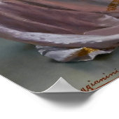 Poster Lettre amusante de Vittorio Reggianini (Coin)