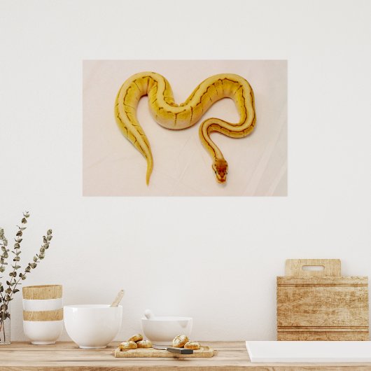 Poster LETTRE "S" Yellow Ball Python (Cuisine)