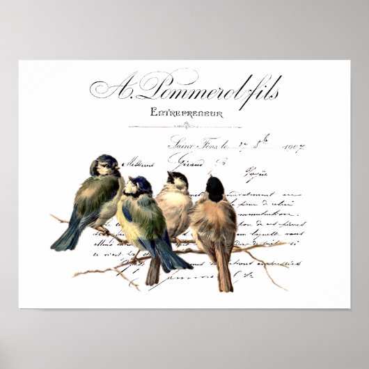 Poster Lettre vintage française et oiseaux (Devant)