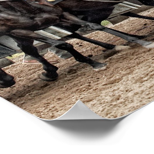 Poster Leur congé (Coin)