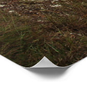 Poster "L'Évangile n'est que de bonnes nouvelles si elle (Coin)