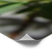 Poster Levant de la marguerite jaune (Coin)