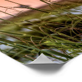 Poster Levée de soleil de la mer de Floride (Coin)