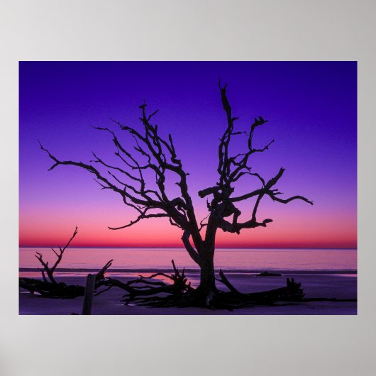 Poster Levée de soleil violette (Devant)