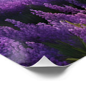 Poster Levée solaire de Purple Mountain Valley (Coin)