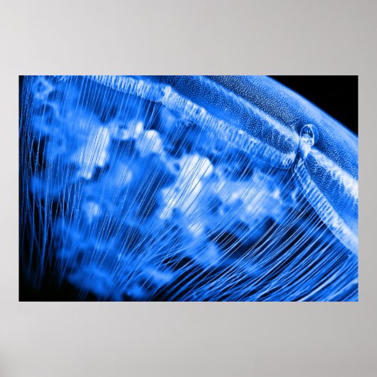 Poster Lever de la lune bleue (Devant)