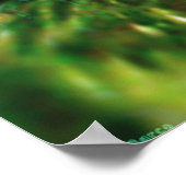 Poster Lever de soleil dans la forêt 2 (Coin)