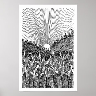 Poster Lever de soleil dans un champ de maïs noir et blan
