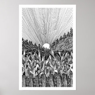 Poster Lever de soleil dans un champ de maïs noir et blan