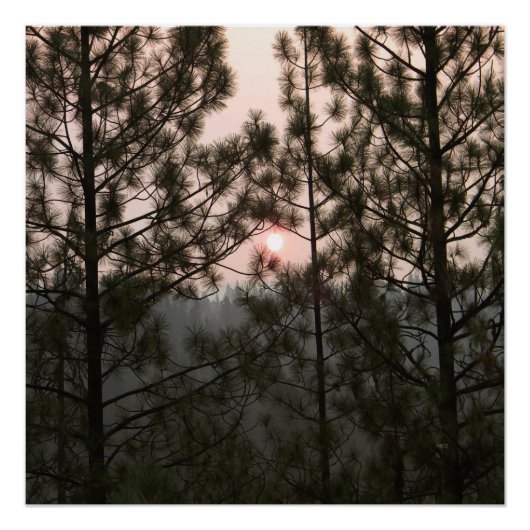 Poster Lever de soleil enfumé de l'incendie de Carr 2018. (Devant)