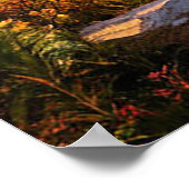 Poster Lever de soleil époustouflant sur la vallée boisée (Coin)