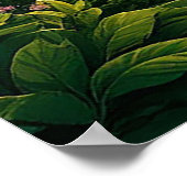 Poster Lever de soleil époustouflant sur les vagues océan (Coin)