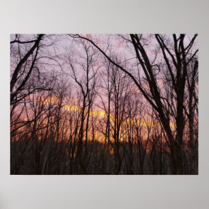 Poster Lever de soleil hivernal II