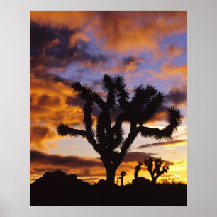 Poster Lever de soleil spectaculaire au parc national de