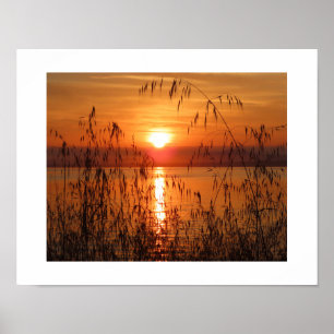 Poster Lever de soleil sur la baie