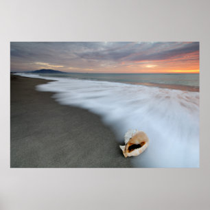 Poster Lever de soleil sur la plage et Shell