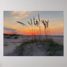 Lever de soleil sur la plage - Vie sur une île côt