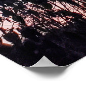 Poster Lever de soleil sur les arbres (Coin)