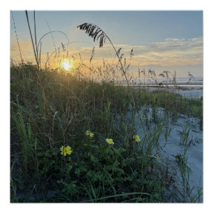 Poster Lever de soleil sur les dunes de la plage
