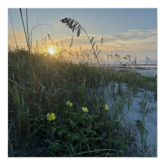 Poster Lever de soleil sur les dunes de la plage (Devant)