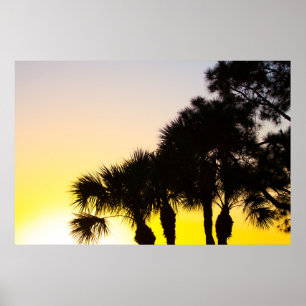 Poster Lever de soleil sur palmetto et pins, Port St Luci