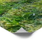 Poster Lever du soleil à Moulton Barn (Coin)