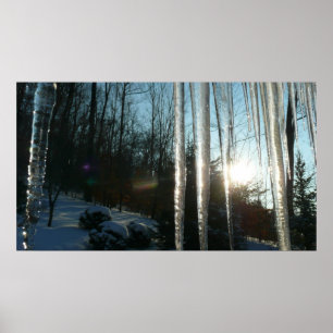 Poster Lever du soleil à travers Icicles hiver Photograph