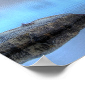 Poster Lever du soleil d'automne au lac Moosehead Maine (Coin)