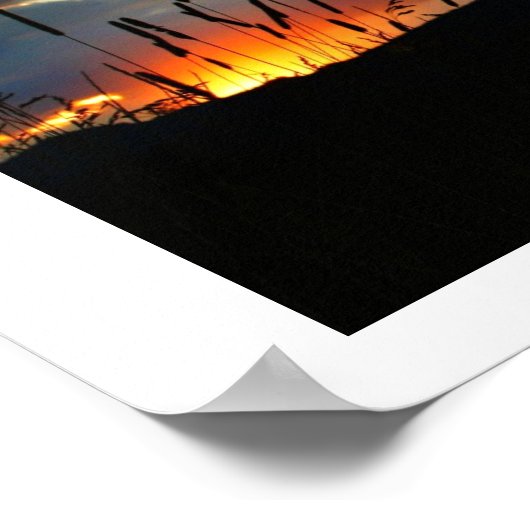 Poster Lever du soleil de la queue de chat (Coin)