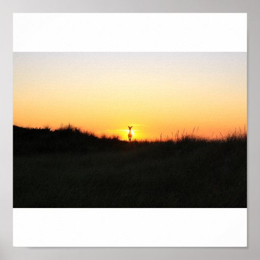 Poster lever du soleil des cerfs de l'île FIre (Devant)