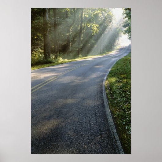 Poster Lever du soleil par le brouillard le long de Green (Devant)