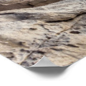 Poster Lever Du Soleil Sur La Plage Armação, San Catarina (Coin)