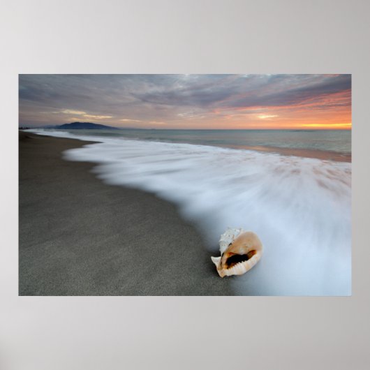 Poster Lever Du Soleil Sur La Plage Et Un Coquillage (Devant)