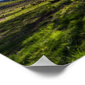 Poster Lever du soleil sur un pâturage rempli de moutons (Coin)