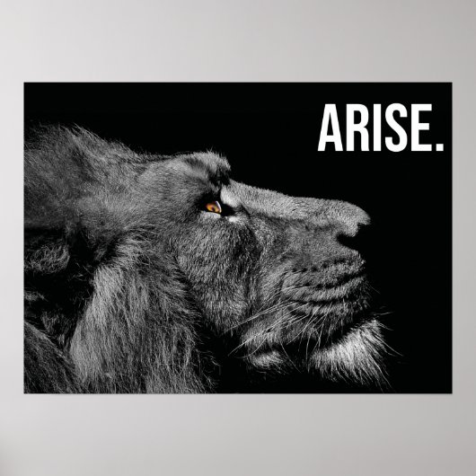 Poster Lever - Lion - Hustère, Gymnase, Motivation de suc (Devant)