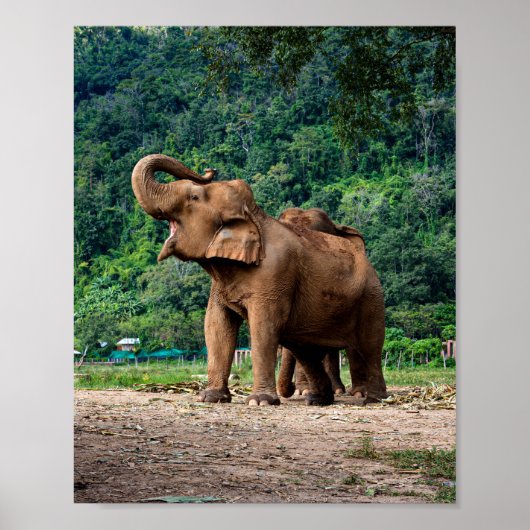 Poster Levez-Vous Et Soyez Entendu (Devant)