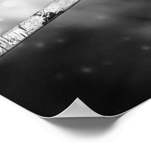 Poster Levi Ackerman (Coin)