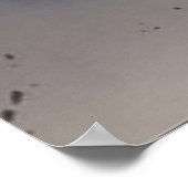 Poster Levi x Mikasa (Coin)