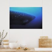 Poster Léviathan (Cuisine)